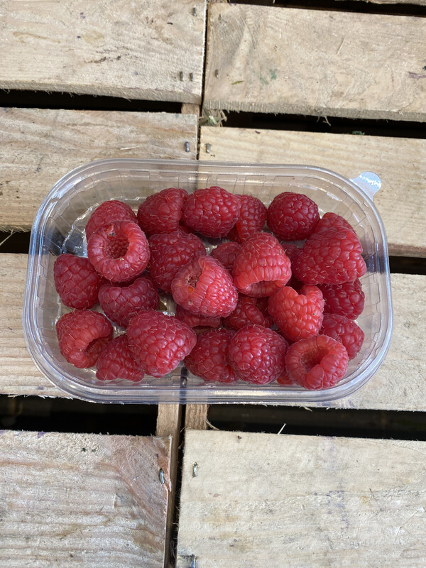 Raspberries Punnet