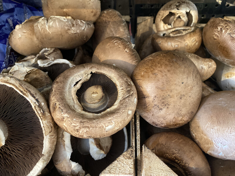 Portabello Mushrooms 300g