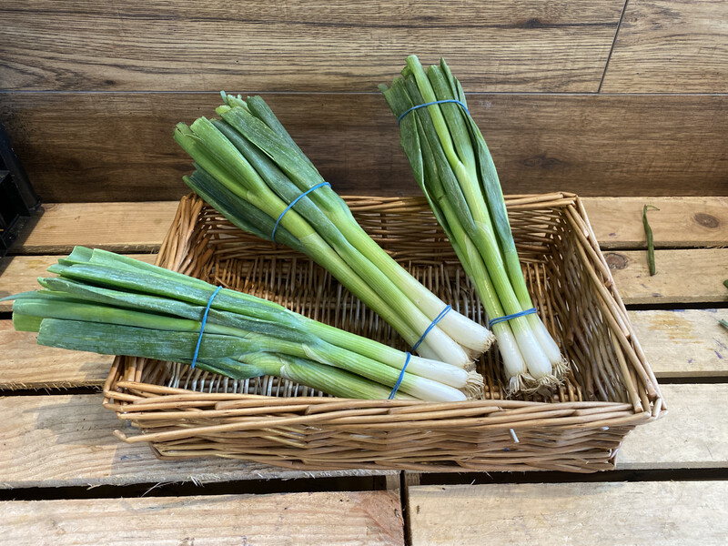 Spring Onions Bunch