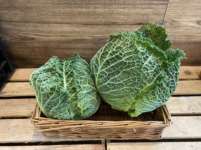 Savoy Cabbage Each