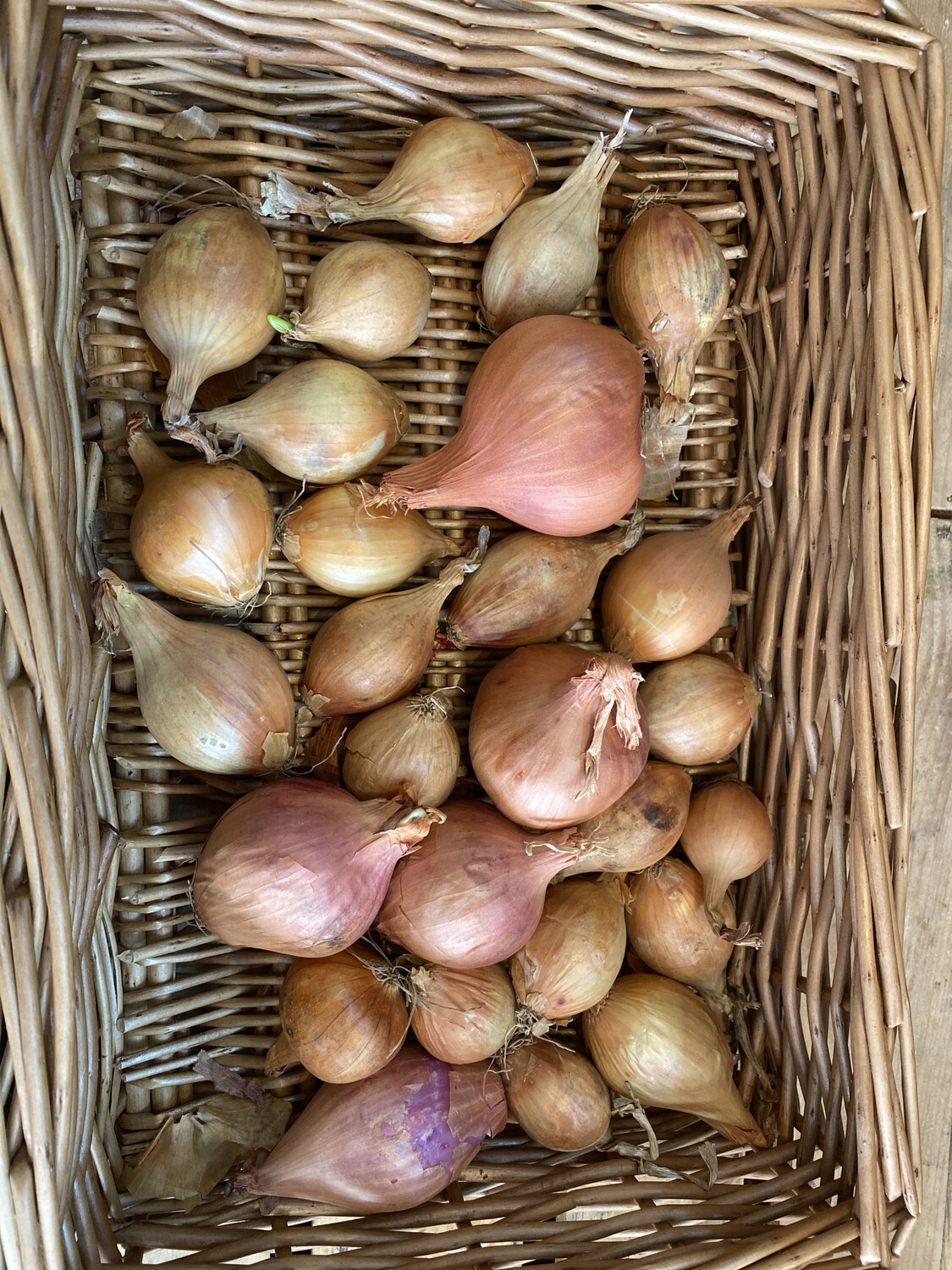 Shallots 500g