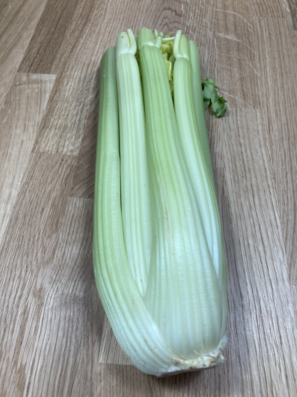 Celery Bunch