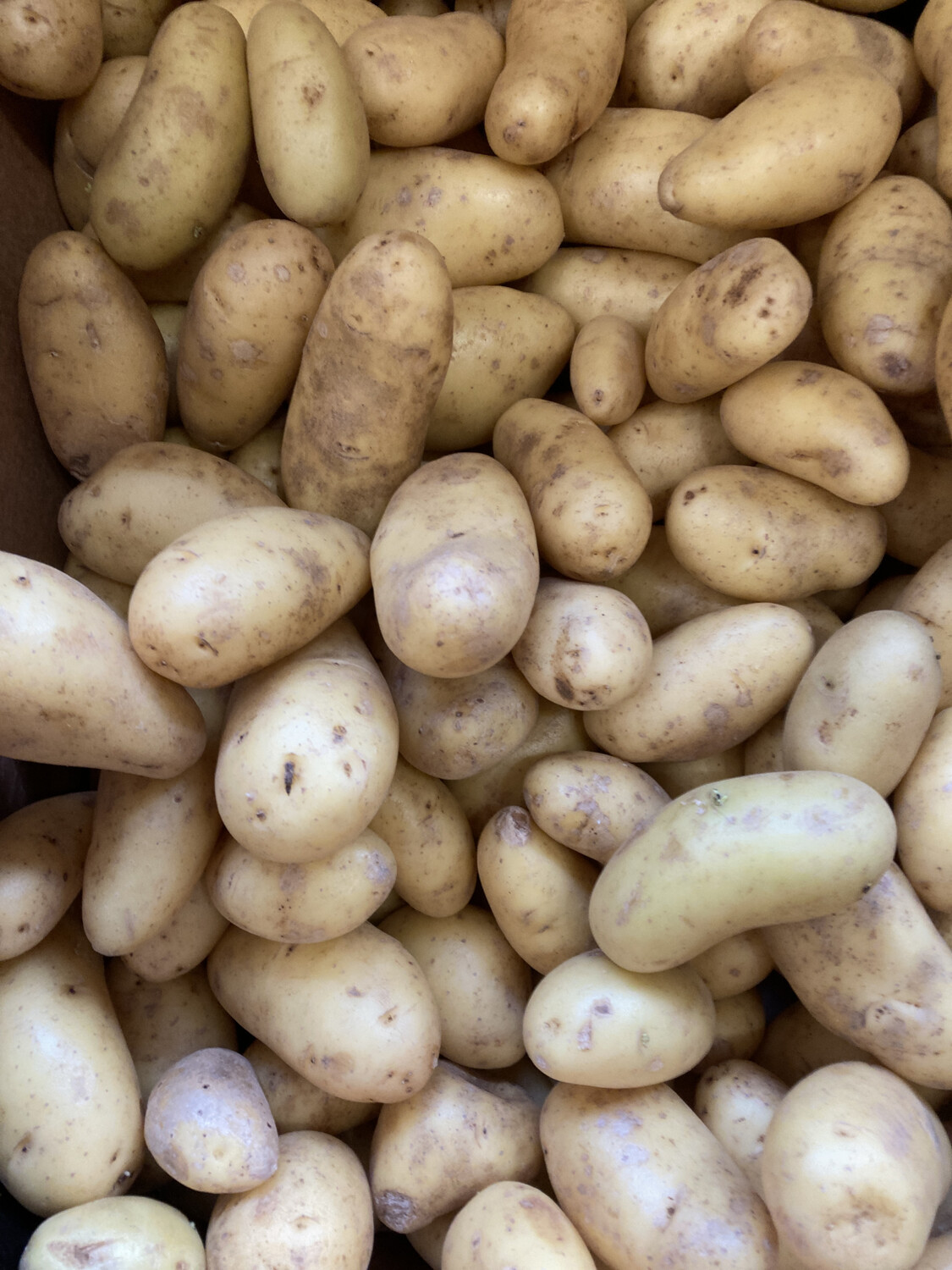 New Potatoes 1.5Kg