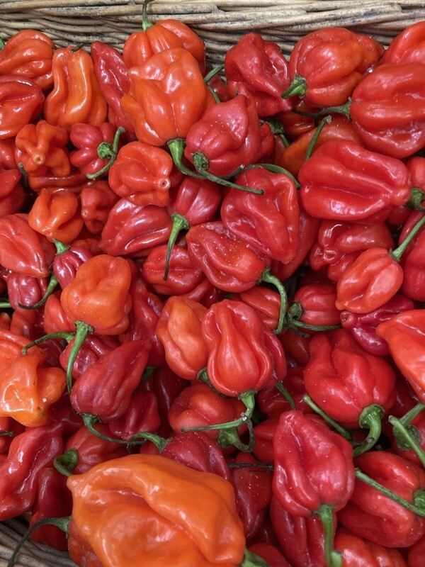 Scotch Bonnets  per 100g