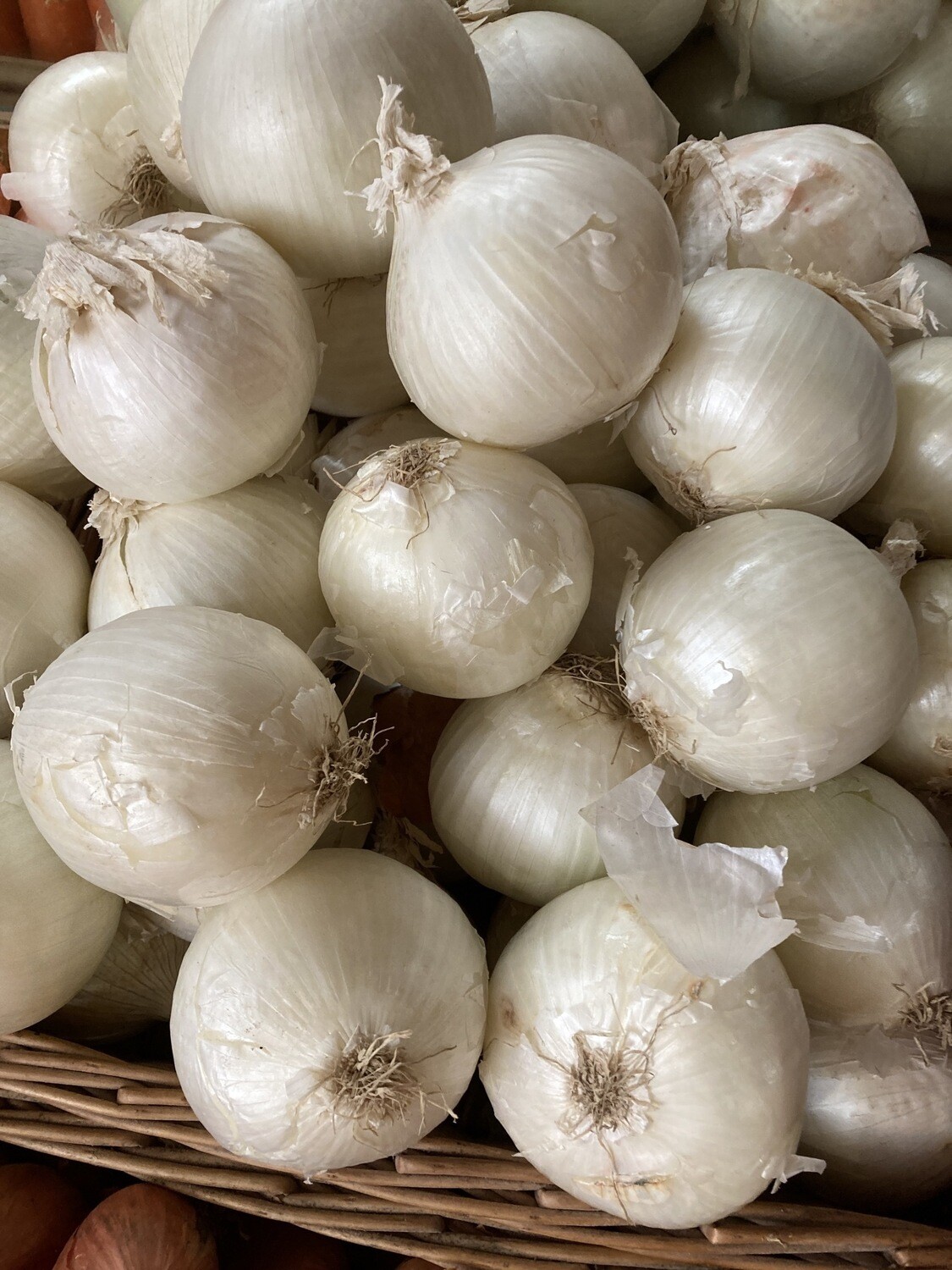 White Onions 1Kg
