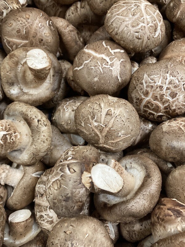 Shitake  Mushrooms 200g