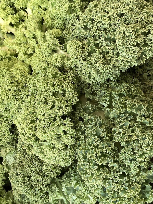 Kale Approx  500g