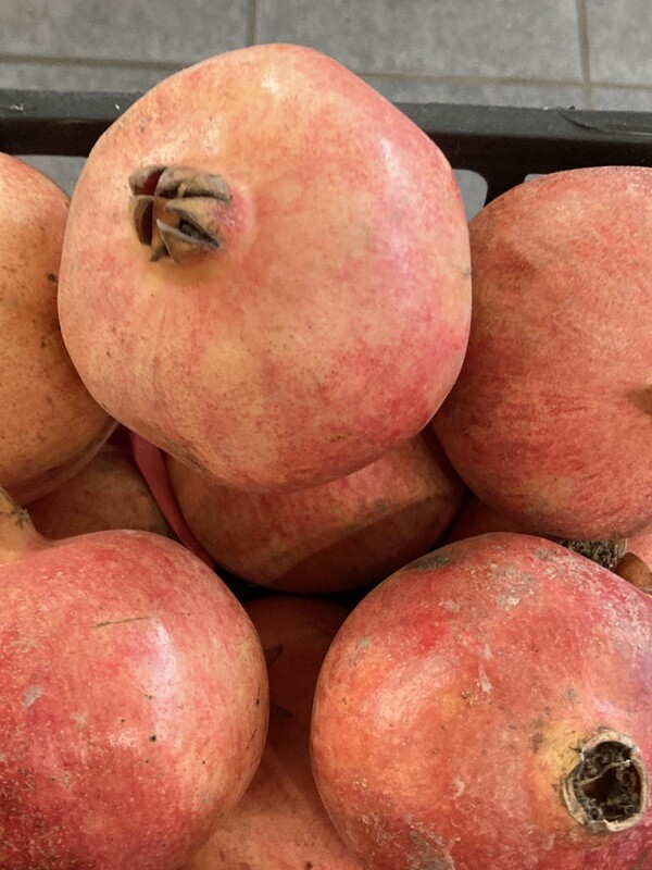 Pomegranate Each