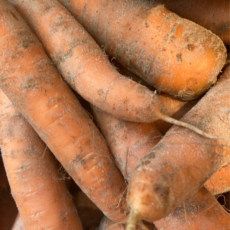 Sand Carrots 500g