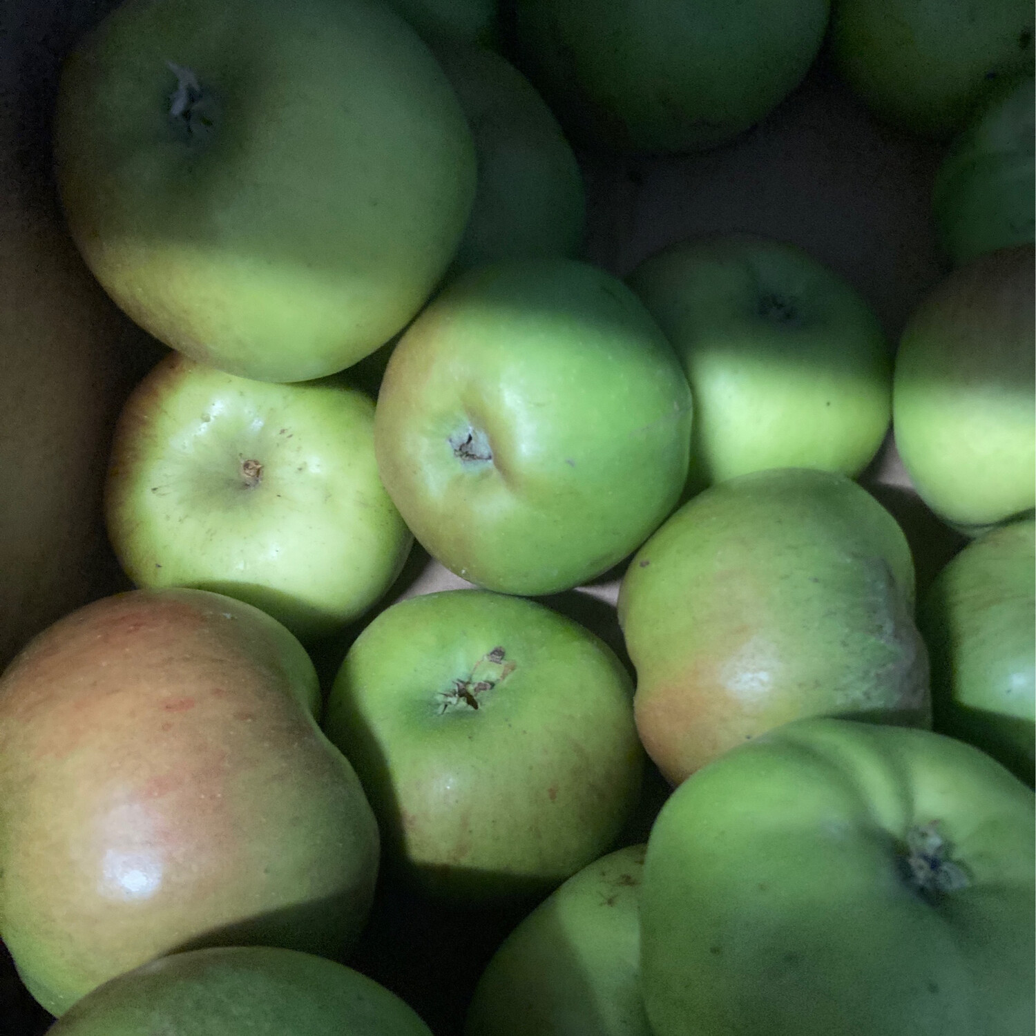 Bramley Cooking Apples Per Kg