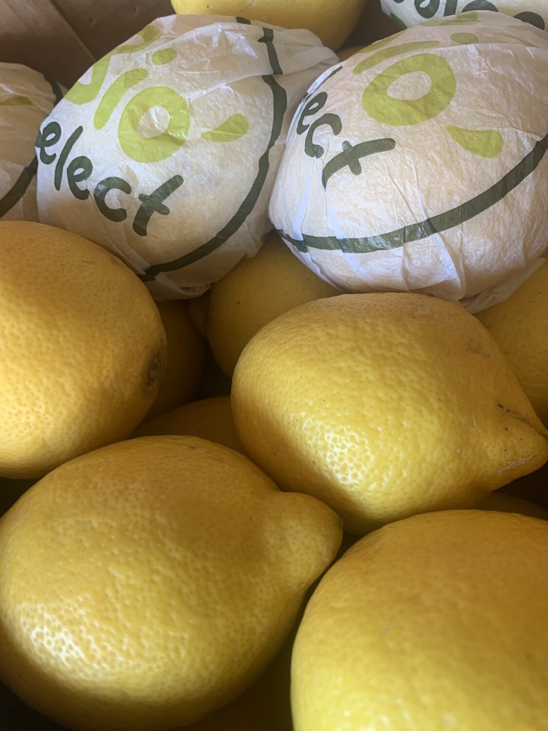 Citrons BIO vendu au kilo