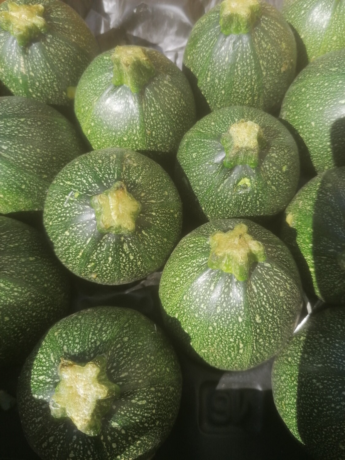 Courgettes rondes