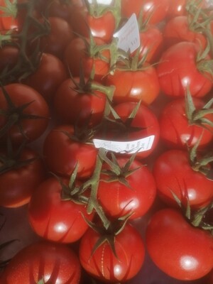 Tomates (jouno)