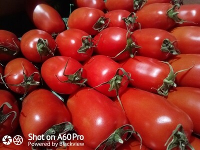 Tomates "Torino" de Provence
