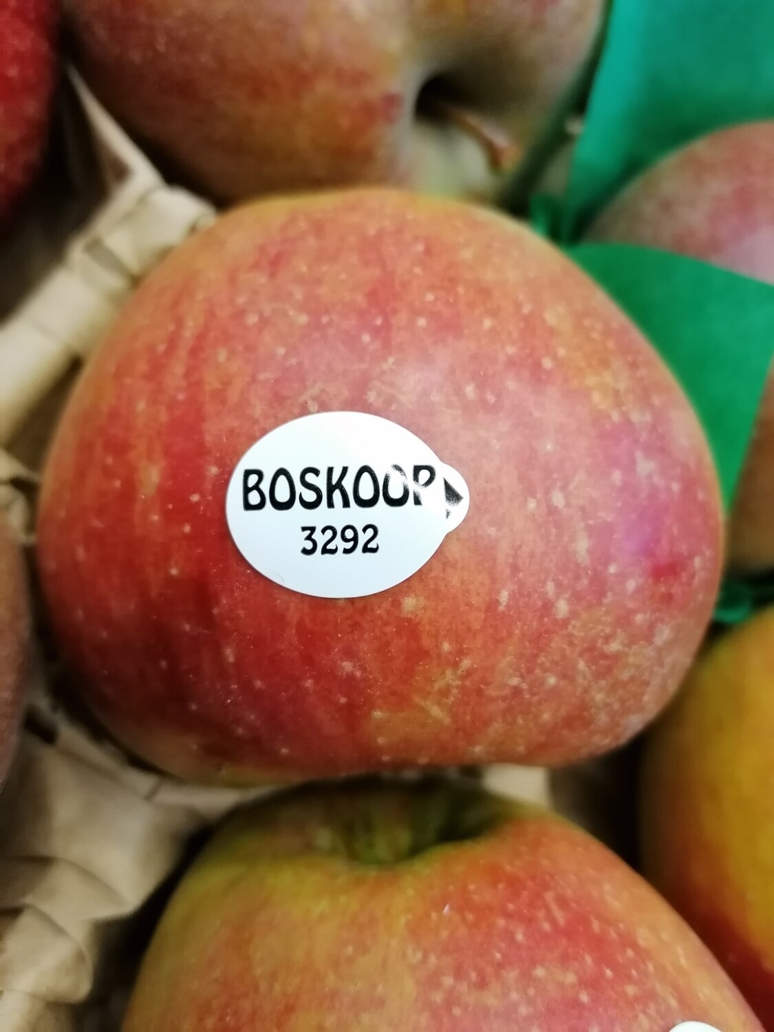 Pommes "Boskoop"
