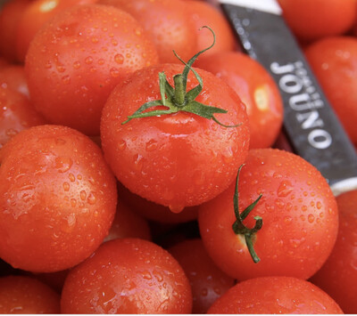 Tomates « Jouno » Vrac