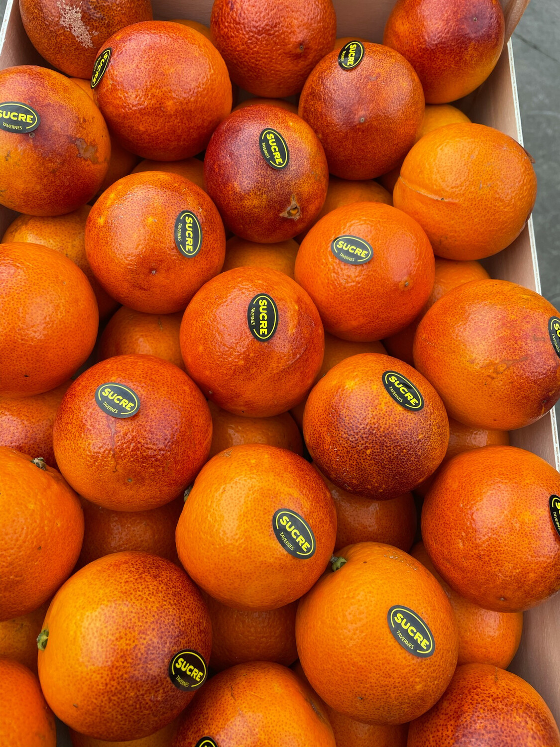 Orange sanguine de Sicile