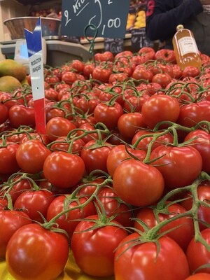 Tomates "grappe" de Bretagne 
