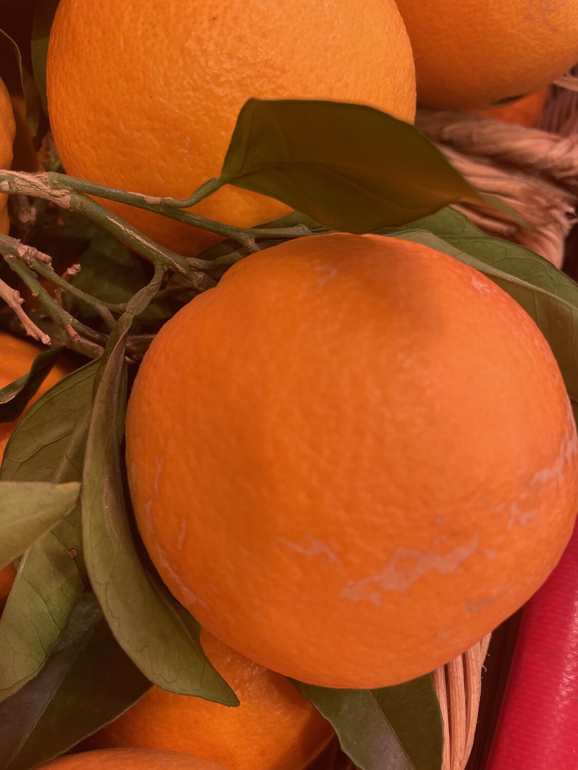 Oranges feuilles de Sicile par 2kilos