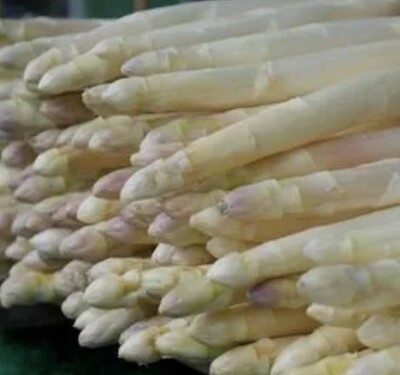 Asperges Blanches (moyennes) 🇫🇷