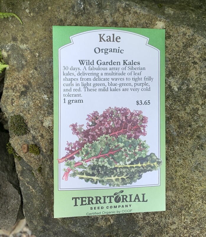 Seeds -  Kale Wild Garden Kales 1 Gram Organic