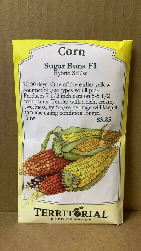 Seeds - Corn Sugar Buns