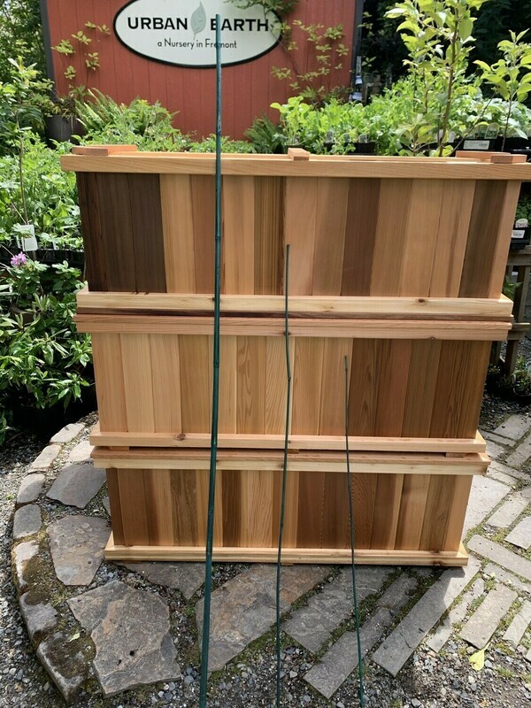 Bamboo Stakes