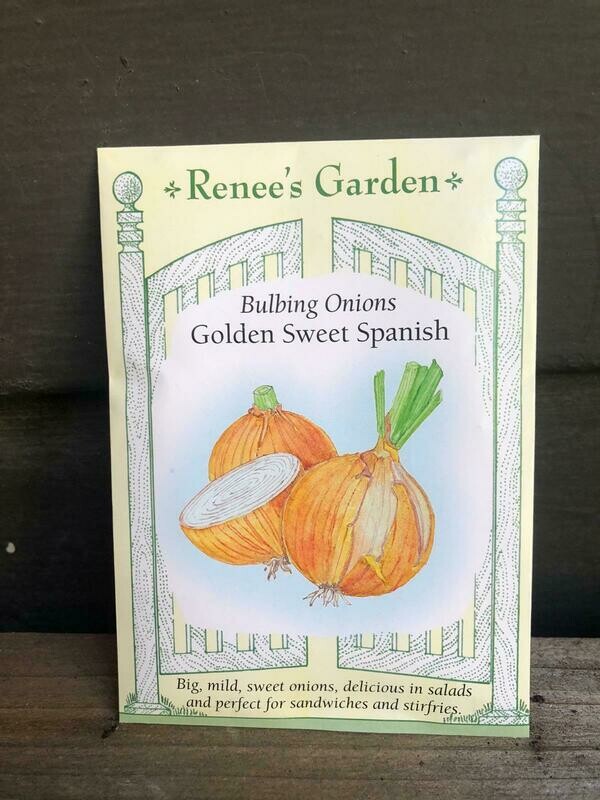 Seeds - Onion Golden Sweet Spanish