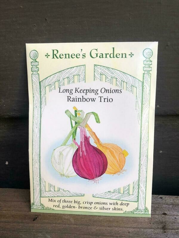 Seeds - Onion Longkeeping Rainbow Trio Mix