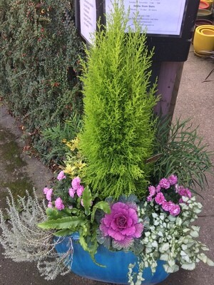 Container Gardening