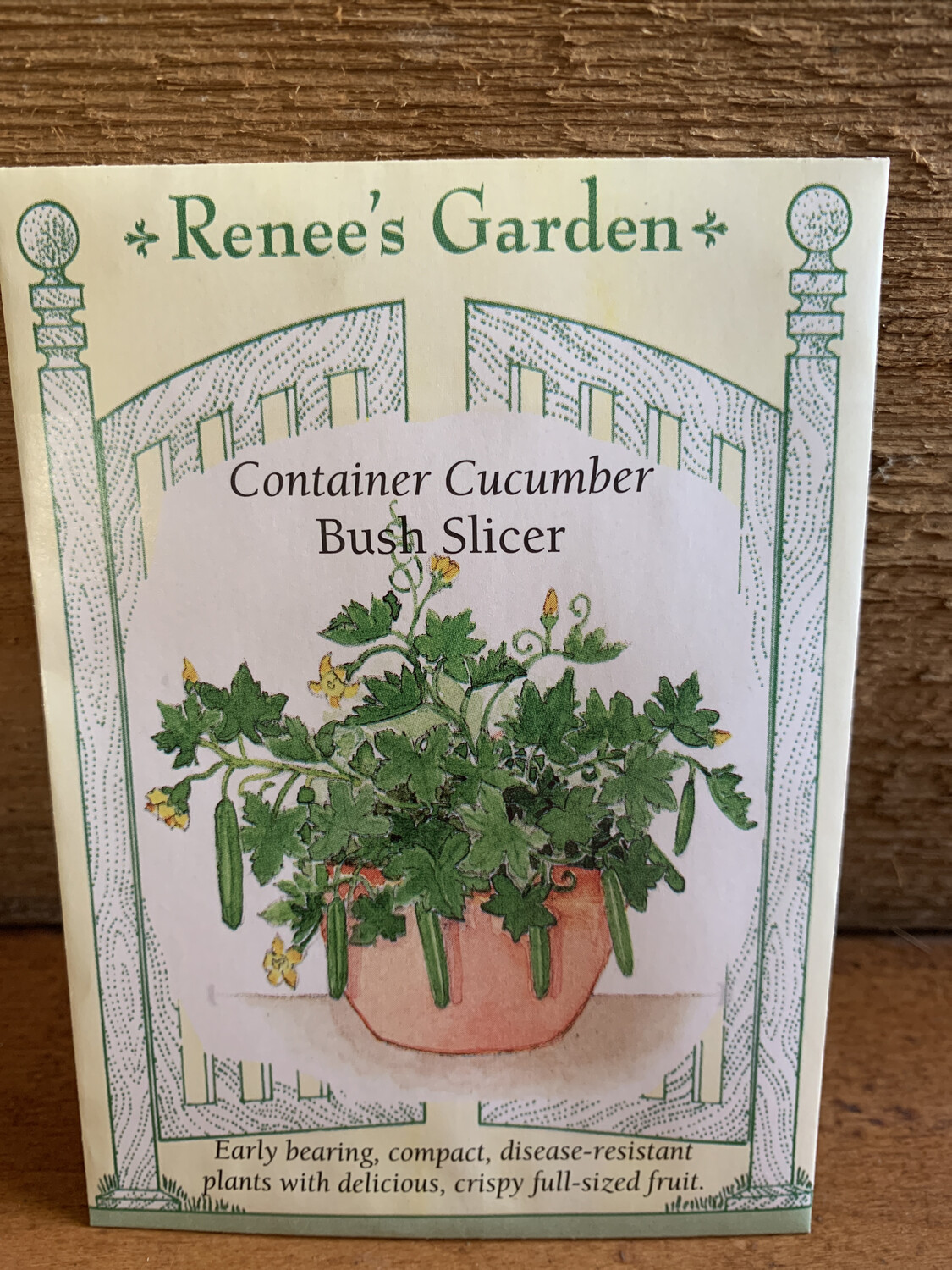 Seeds - Cucumber Container Bush Slicer