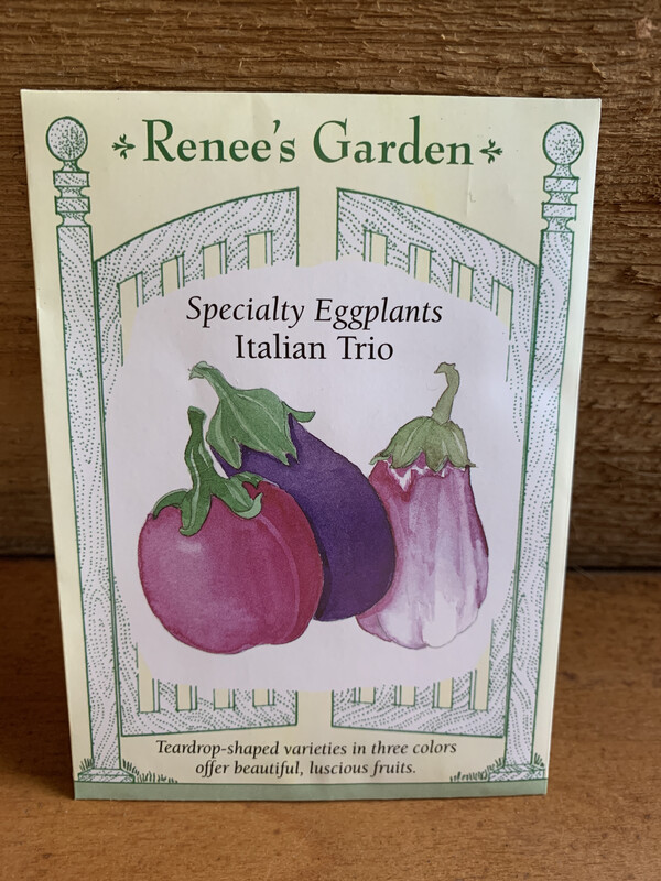 Seeds - Eggplants Italian Trio