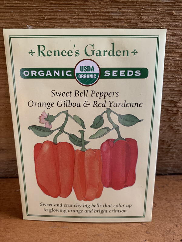 Seeds - Sweet Bell Peppers Orange and Red Organic