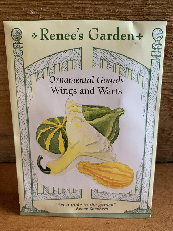 Seeds - Ornamental Gourds Wings and Warts