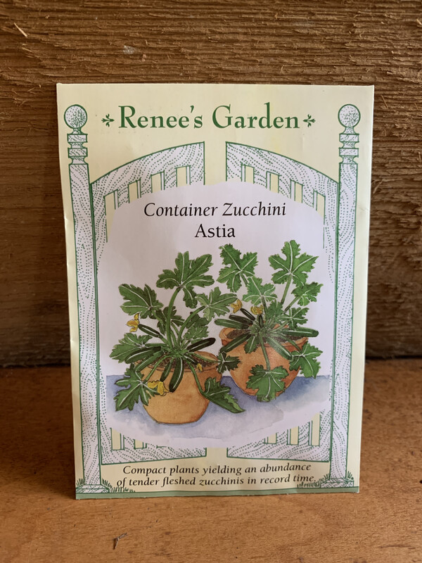 Seeds - Container Zucchini Astia