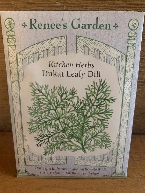 Seeds - Dukat Leafy Dill