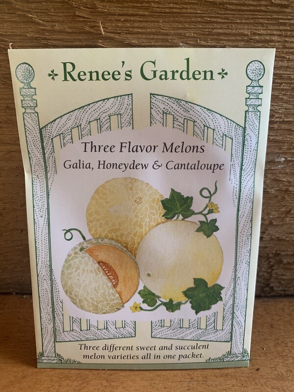 Seeds - Three Flavor Melons Mix