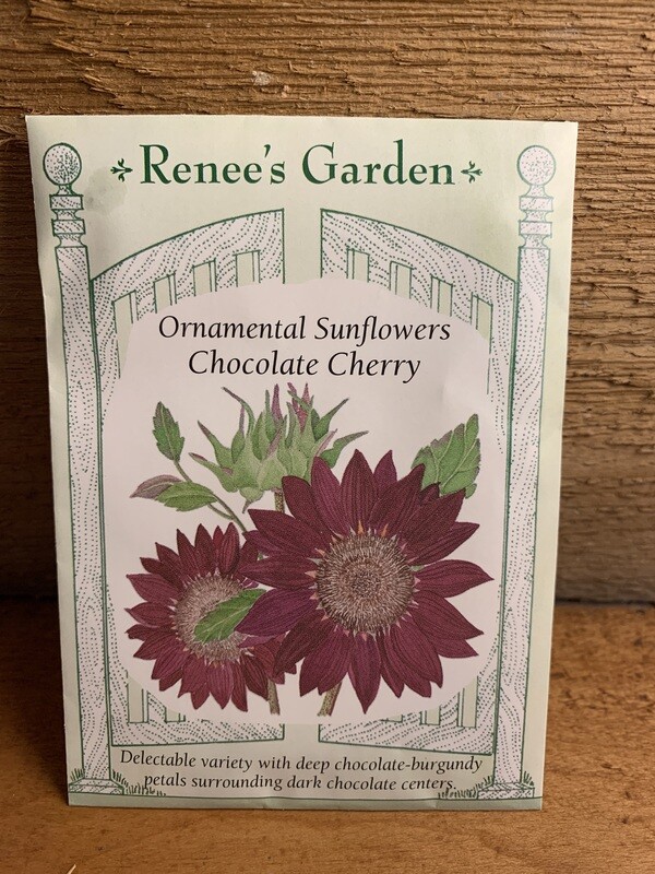 Seeds - Sunflowers Chocolate Cherry