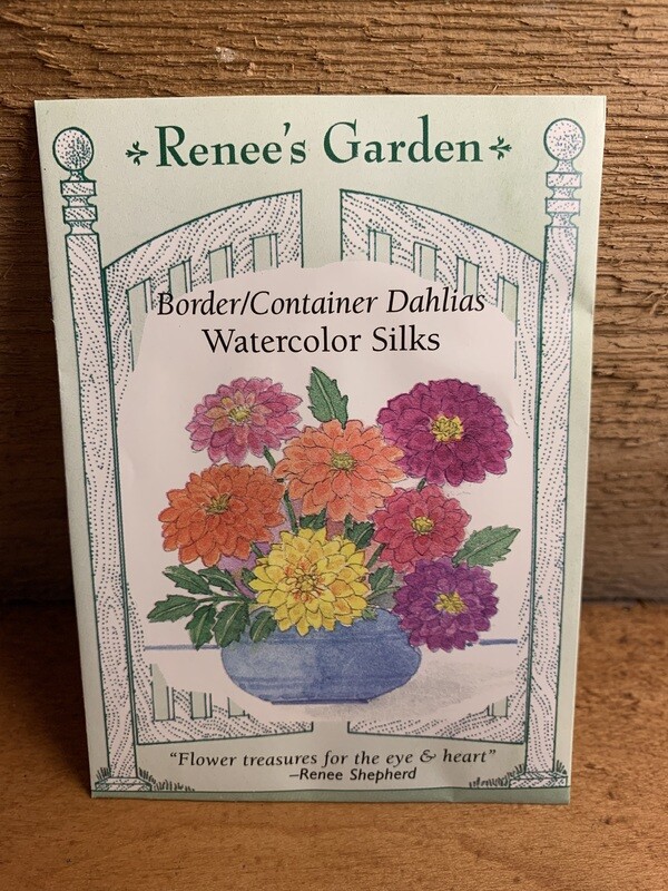 Seeds - Border/Container Dahlias Watercolor Silks