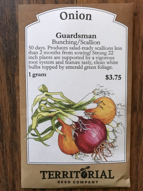 Seeds - Onion Guardsman