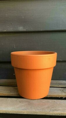 Terracotta