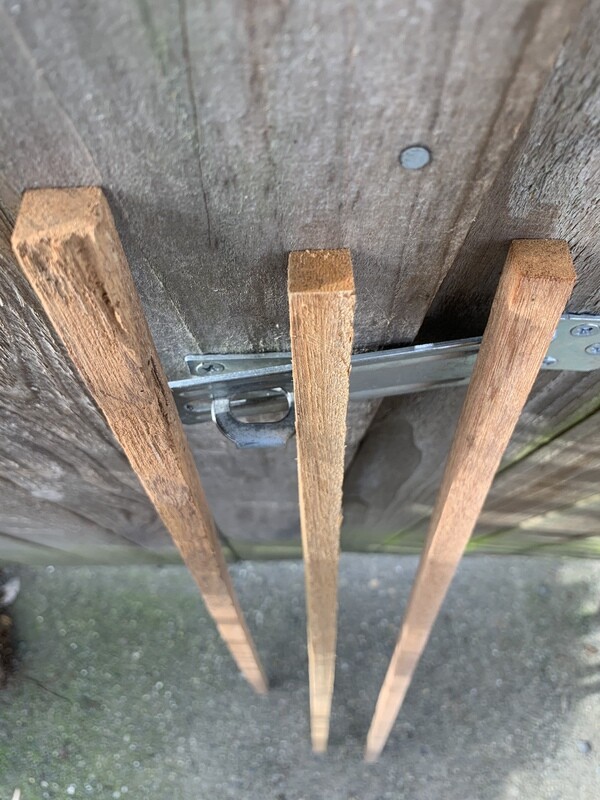 Wood Stake