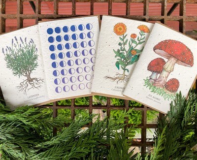 Cards and Stationery