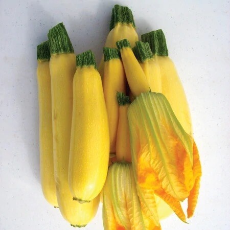 Seeds - Squash Summer Cube Of Butter 3 Grams