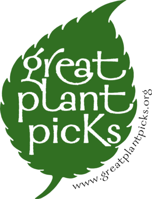 Great Plant Picks for NW