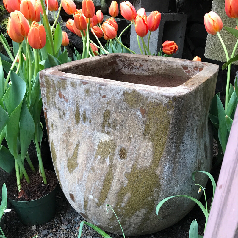 Atlantic Square Pot Large