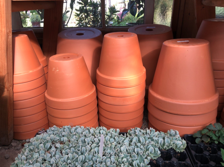 Standard Terracotta Pots