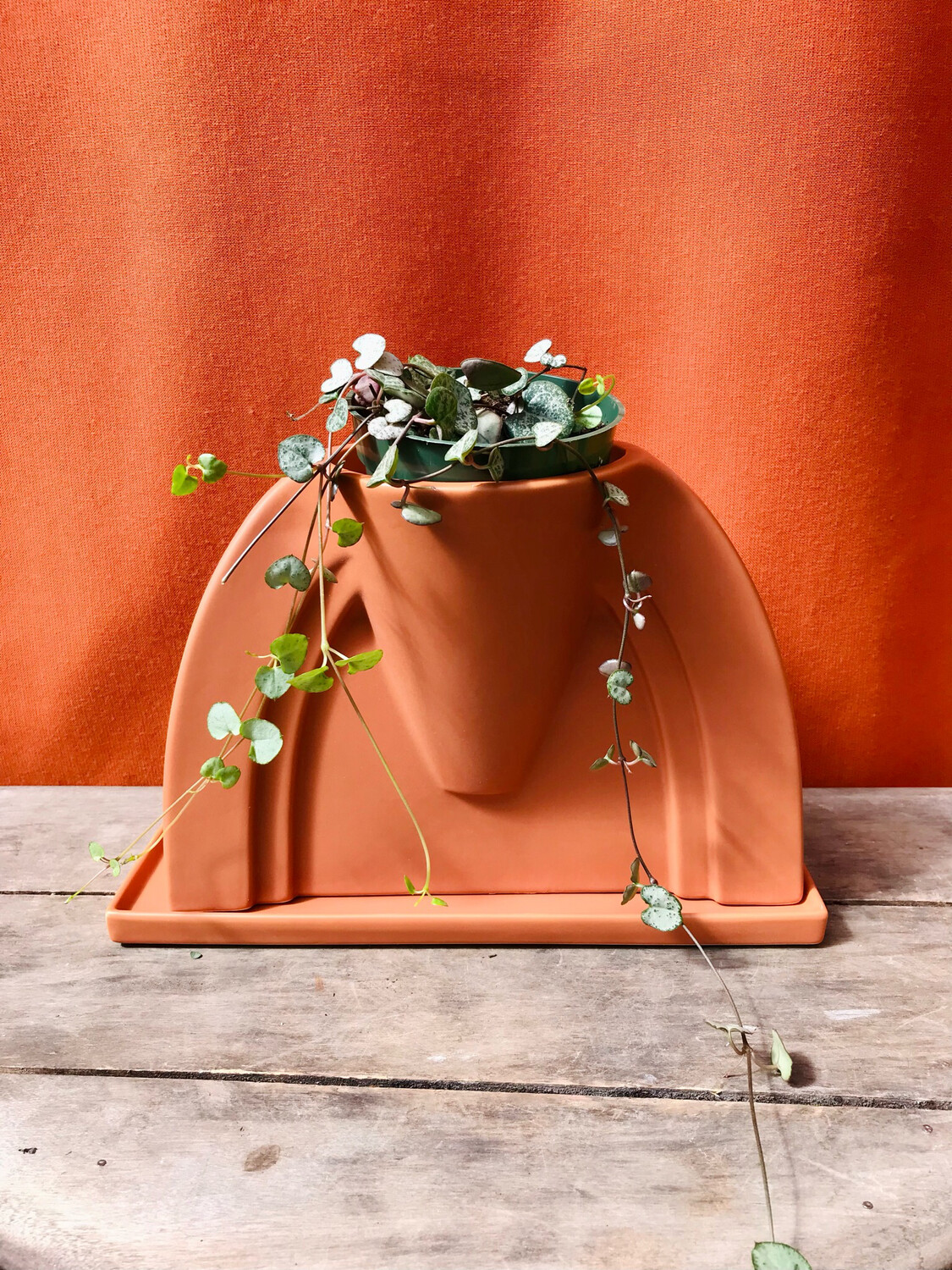 Ambrosia Pot w/Saucer 10&quot;x 5&quot;x 7&quot;