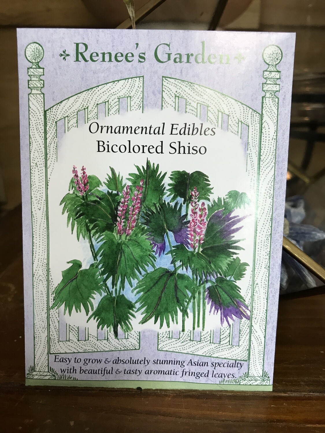Seeds - Shiso (Perilla) Showy Bicolor