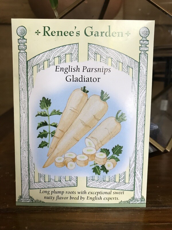 Seeds - Parsnip Gladiator 2 grams